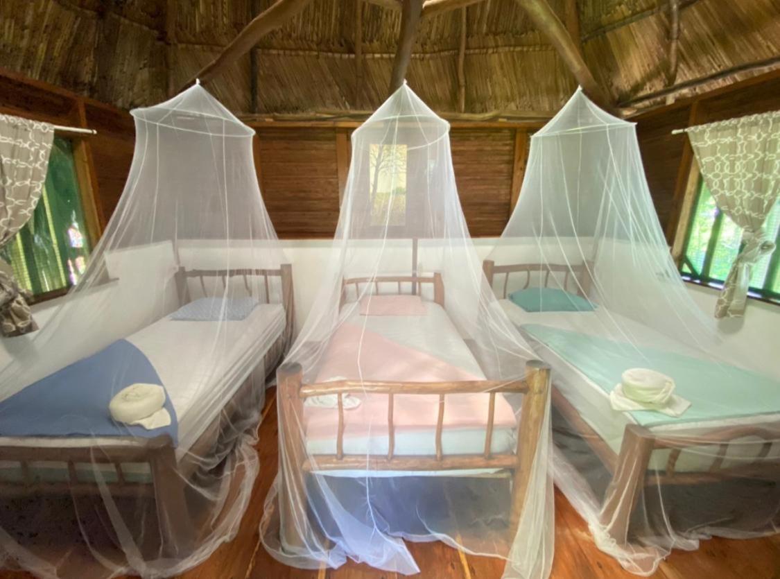 Casa De La Iguana Hostel Livingston Exterior photo